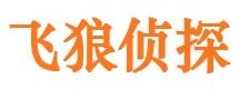 新泰市私家侦探